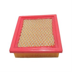Air Filter for 125cc Wolf Striker