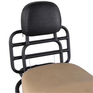 Rack, Prima Rear Chrome w/Backrest for Vespa GTS - Image 5