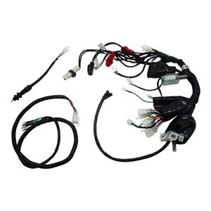 Wire Harness, Complete for 125cc Wolf Striker