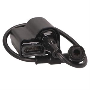 CDI / Ignition Coil Combo for 50cc 4-Stroke Piaggio, Vespa (2-Valve)