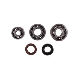 Bearing Set, Engine Case for 50cc 4-Stroke Lance GTR, TaoTao ATM