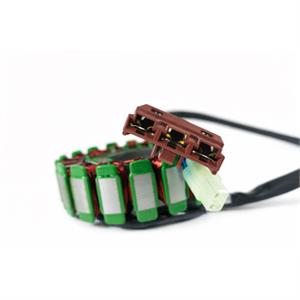 Stator for 300i Wolf V300i - Image 3