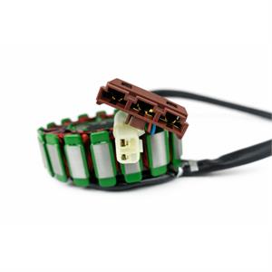 Stator for 300i Wolf V300i - Image 2