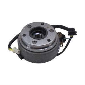 Alternator for 125cc Wolf Striker