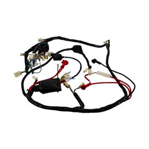 Wire Harness for 125cc Lance Cali