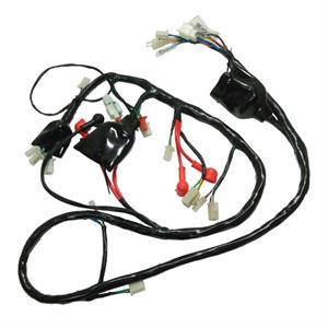 Wire Harness, Type 2 for 50cc Wolf Islander '2022+