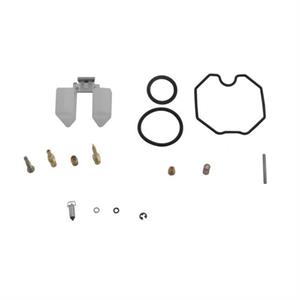 Carburetor Repair Kit for 200cc - 250cc ATVs, Dirt Bikes, Go Karts PZ30
