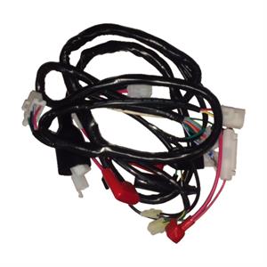 Wire Harness for Genuine Venture