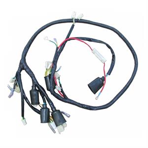 Wire Harness, Main for 150cc ZNEN Vintage Scooters