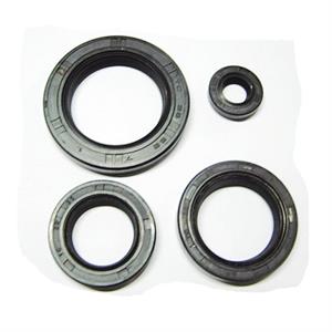 Oil Seal Set for CN250 172mm Scooters, Go Karts
