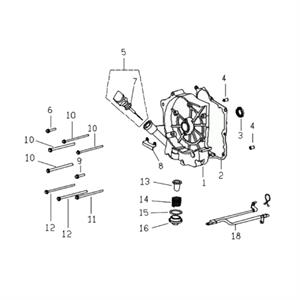 E05 - Crankcase, Right Cover for 125cc - 170i Genuine Buddy, Hooligan