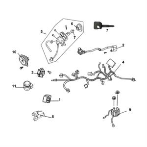 F18 - Electrical for 125cc - 150cc Lance Cabo