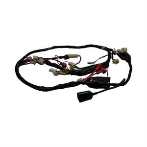 Wire Harness for 50cc - 150cc Wolf Blaze