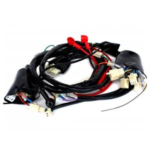 Wire Harness for 50cc 4-Stroke Lance Charming, Wolf Islander <'22