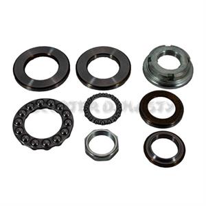 Triple Tree Fork Bearing Set for Bintelli Havoc, Wolf Rugby