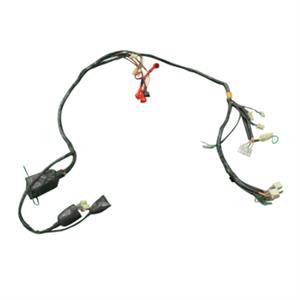 Wire Harness for Bintelli Flash