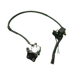 Brake Assembly, Front for Bintelli Scorch