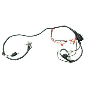 Wire Harness for BMS Chelsea, Bintelli Valor