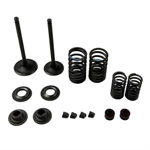 Valve Kit for CN250 172mm Scooters, Go Karts