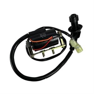 Ignition Coil for Genuine Blur 220i