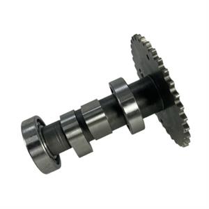 Camshaft for 150cc - 170i Genuine Buddy, Hooligan