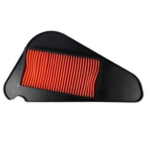 Air Filter Element for Genuine Buddy Kick