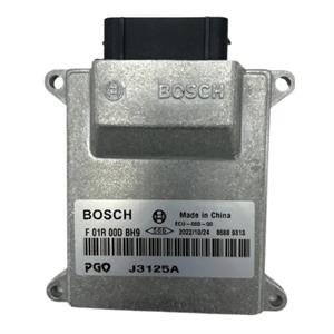 ECU for Genuine Buddy Kick