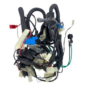 Wire Harness, Main for 200i Genuine Rattler