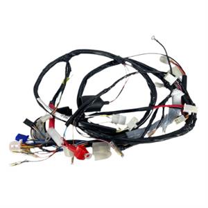 Wire Harness for 50cc 2-Stroke Genuine RH