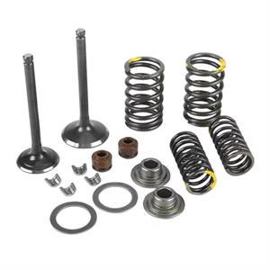 Valve Kit for 125cc - 150cc GY6 Scooters, ATVs, Go Karts