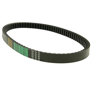 Belt for Genuine Venture