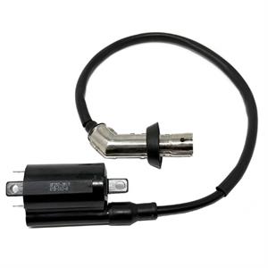 Ignition Coil for 200i Vitacci Clash