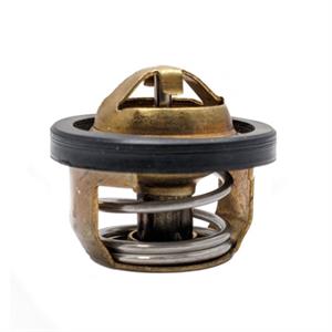 Thermostat for VOG260 Linhai Yamaha Scooters, ATVs, Go Karts