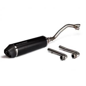 Exhaust, Malossi Maxi Wild Lion for Yamaha T-Max 500