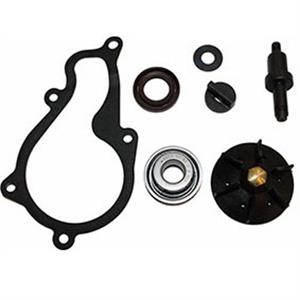 Water Pump Kit for 350cc Piaggio BV350