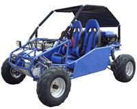 250cc Go Karts