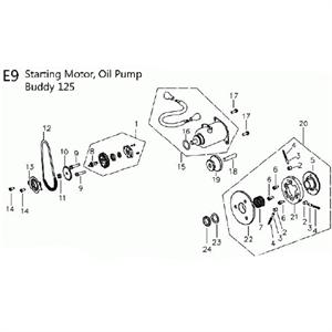 E09 - Starting Motor, Oil Pump for 125cc - 170i Genuine Buddy, Hooligan