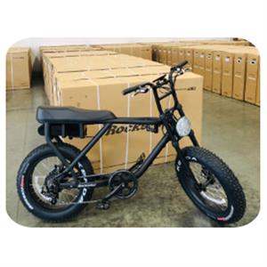 Scootstar Rockstar E-Bike 48V 750W