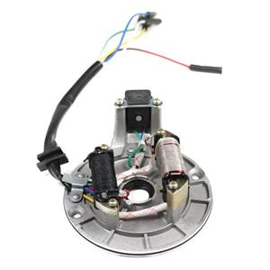 Stator, 2-Coil Type 8 for 70cc - 125cc Pit Bikes