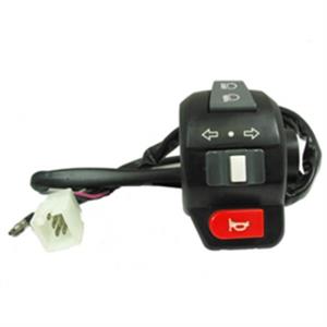 Switch, Combination Left for 50cc - 150cc Ice Bear Maddog