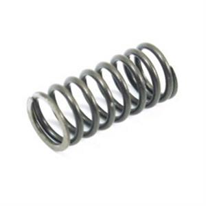 Cylinder Head Valve Spring, Outer for SYM HD200, RV200
