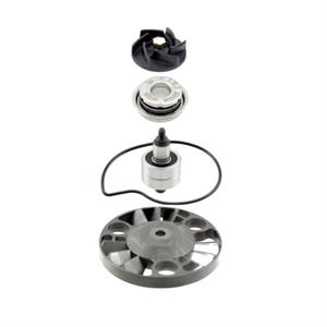 Water Pump Kit for 200cc Vespa GT200, Piaggio BV200