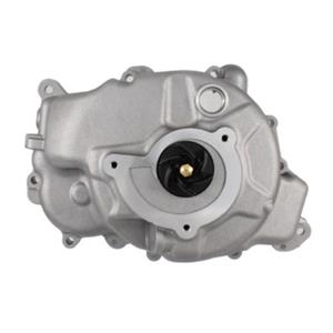 Water Pump for 250cc - 300cc Vespa, Piaggio Scooters