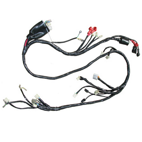 Wire Harness for 150cc GY6B Lance Phoenix, ZN150T-18